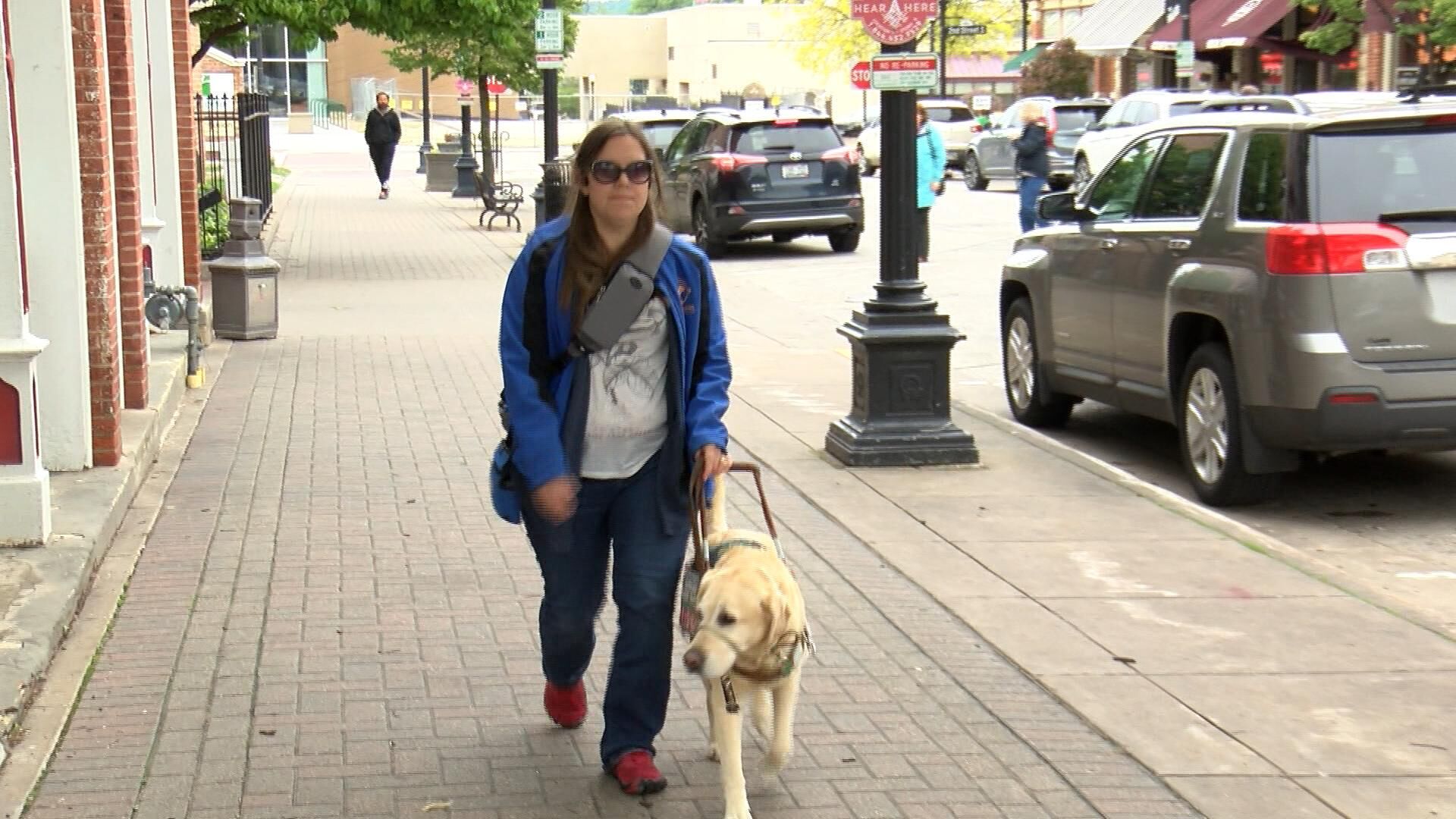 Guide Dog